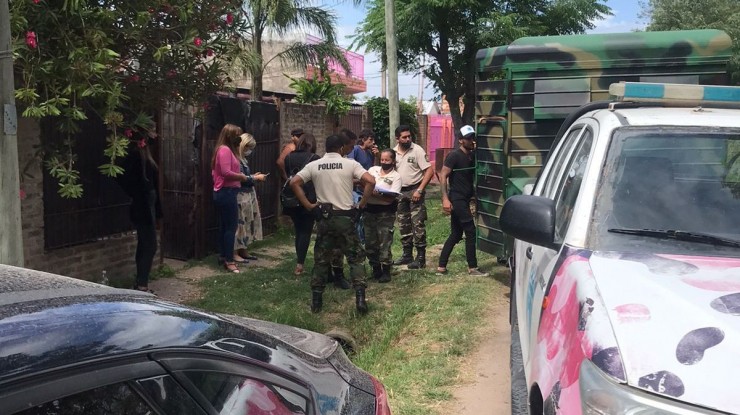 Rescatan a perros y gatos torturados
